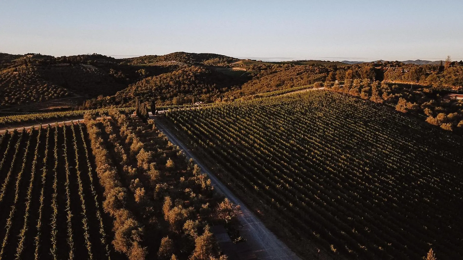 Fattoria Di Corsignano Villa Vagliagli